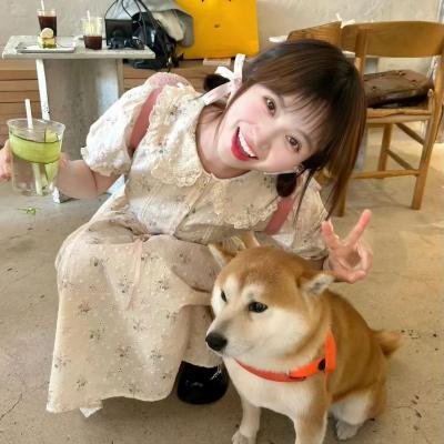 驯龙高手番外篇:龙的礼物